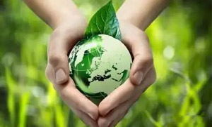 乐投体育零碳（近零碳）发展战略和实施方案